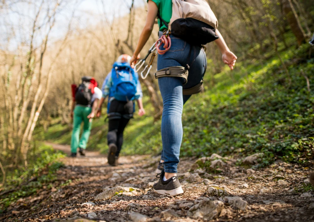 Hikers in countryside